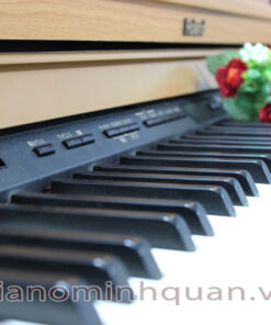 Piano dien Roland HP 503 13