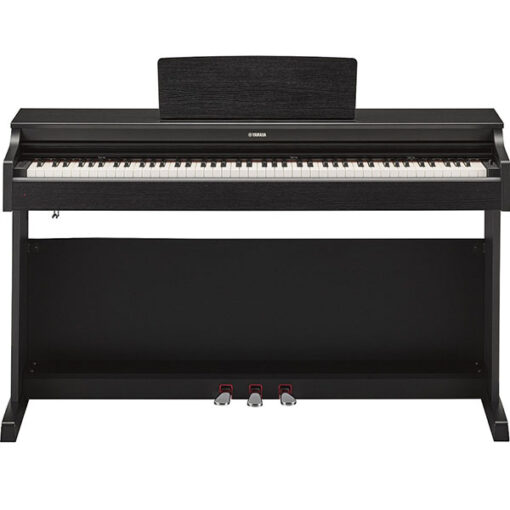 pianominhquan ydp 163 2