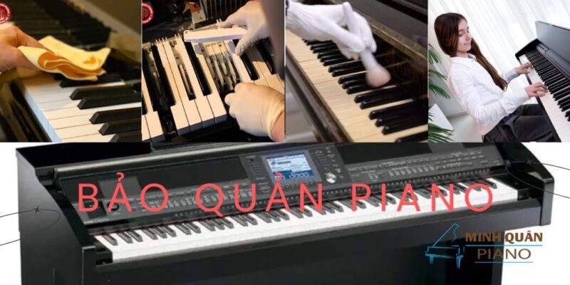 bao quan dan piano