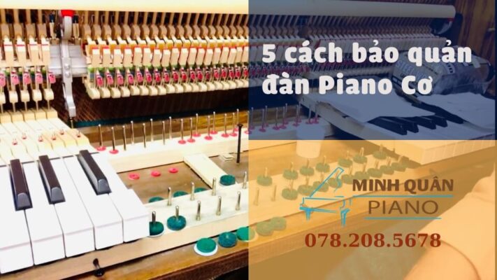 bao quan piano co 1