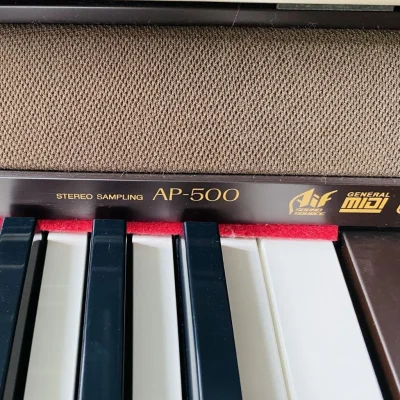 Casio AP500 