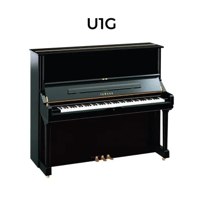 UTF 8Yamaha20U1G2028129