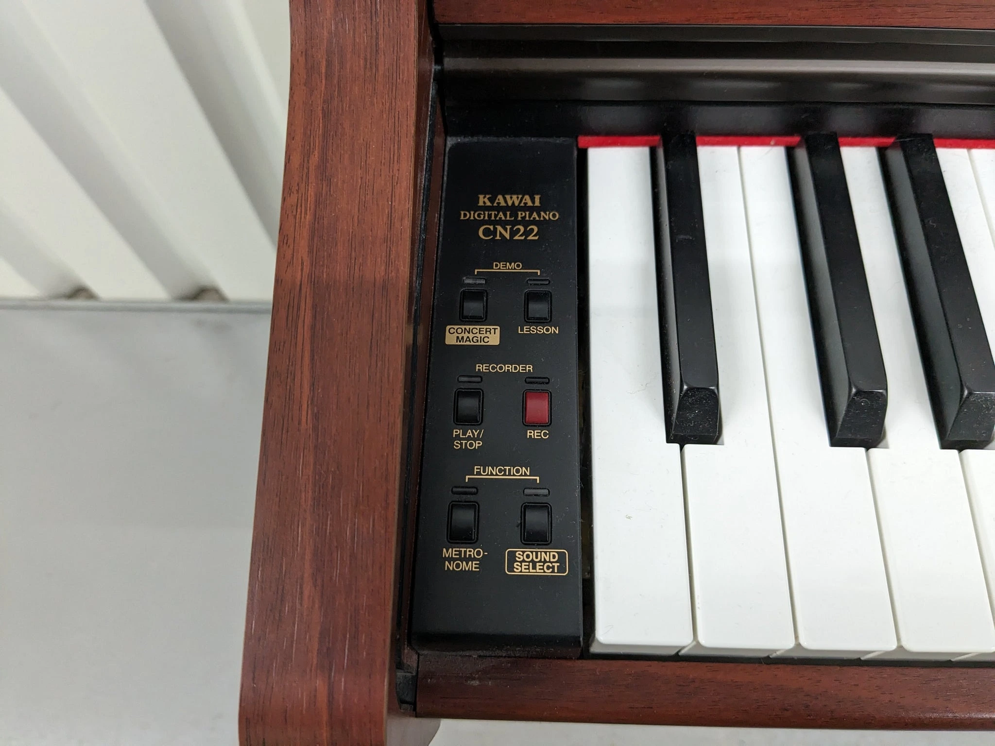 Kawai CN-22