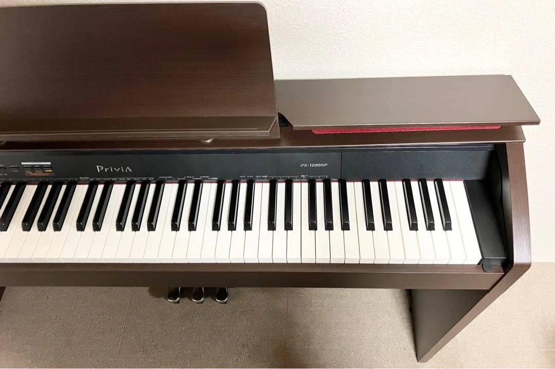 Casio PX-1200GP